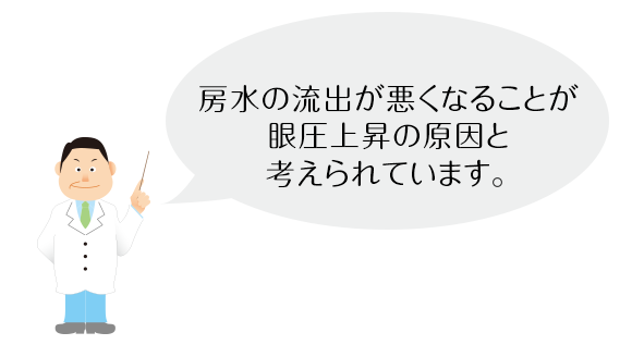 房水の流出が悪くなることが眼圧上昇の原因と考えられています。