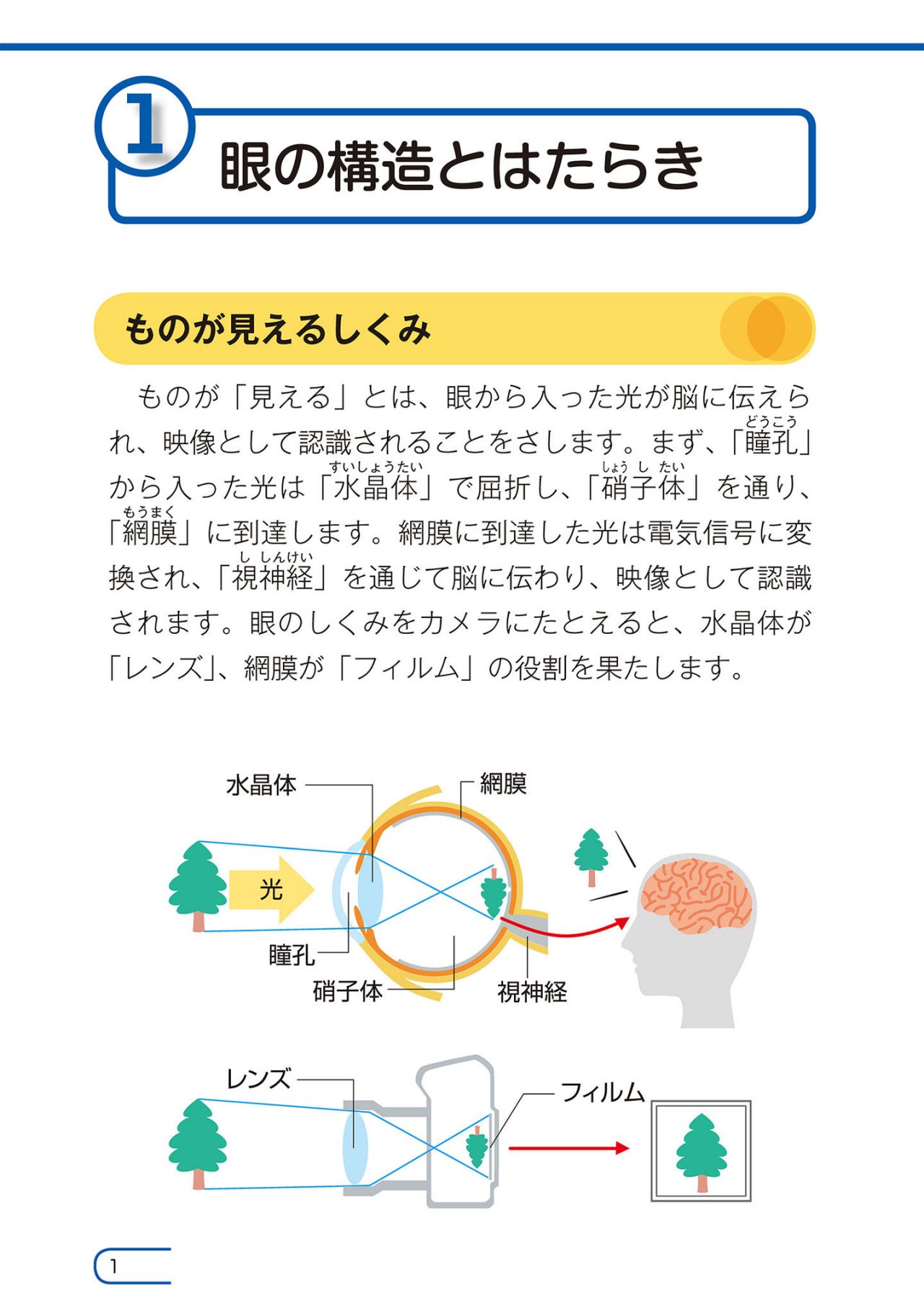 知っていますか？加齢黄斑変性
