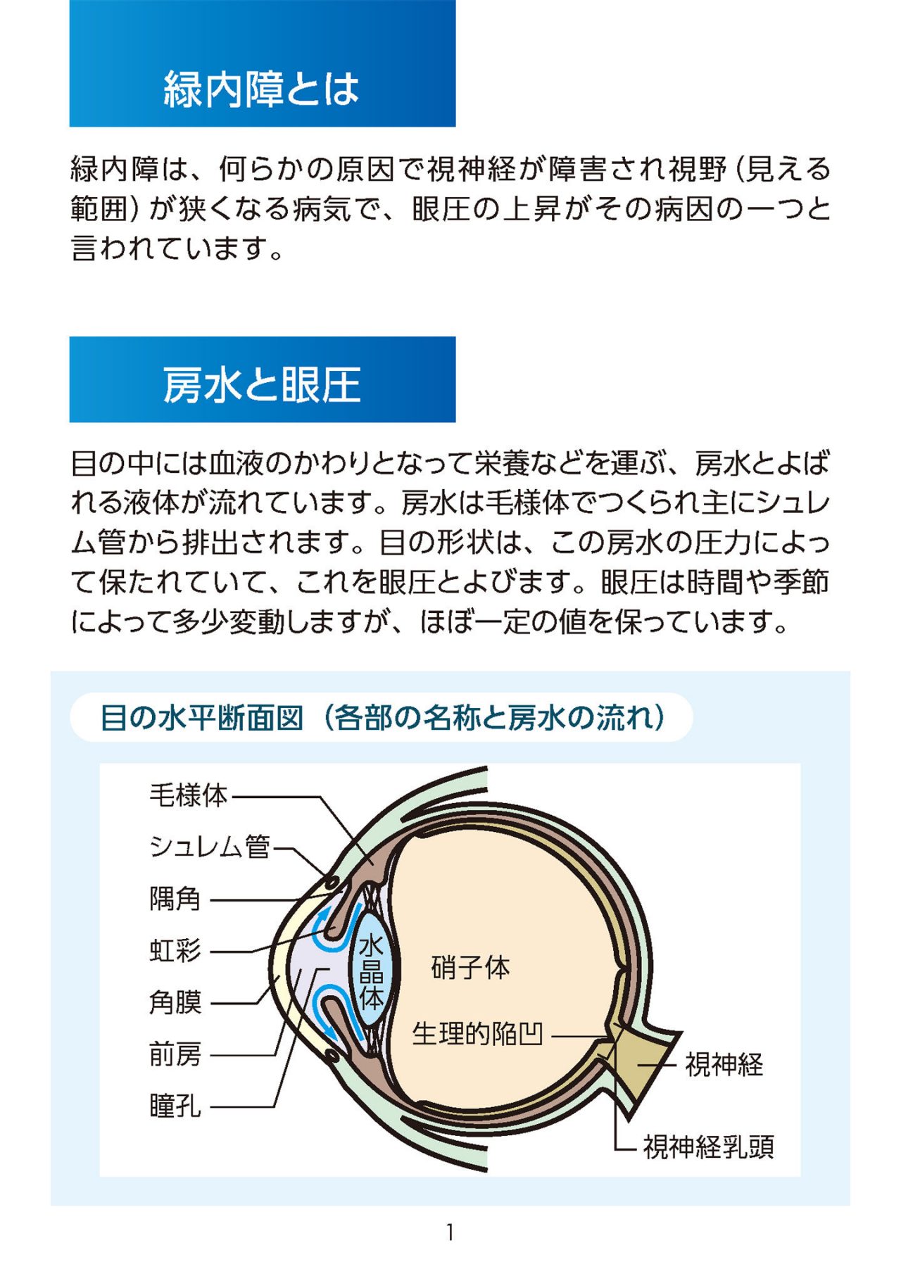 緑内障とは